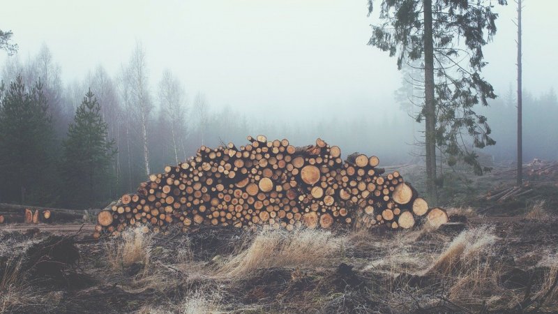 Jak cirkulární ekonomika může pomoci s materiálovou krizí