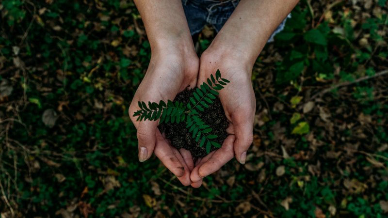 Magická tři písmena ESG a jejich rating