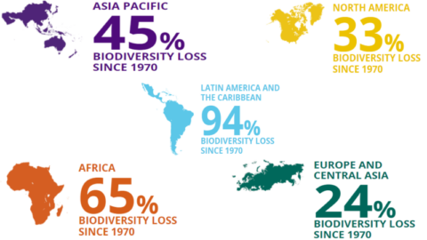 Zemědělství a biodiverzita – jeden uzavřený kruh
