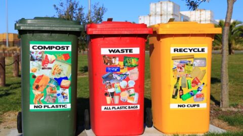 Chemická a mechanická recyklace jako strategie nakládání s odpadem