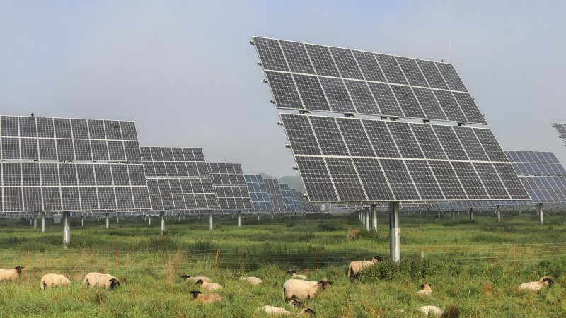 Agrovoltaika jako synergie mezi výrobou elektřiny a zemědělstvím