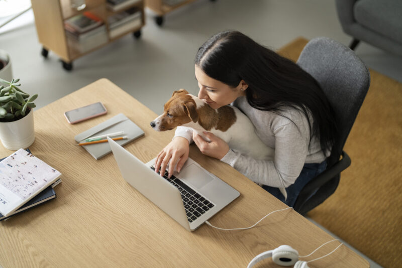 Flexibilita není jen pro maminky vracející se do práce! Flexibilita není jen pro maminky vracející se do práce!