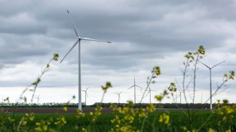 Větrníky na pranýři: Jsou větrné elektrárny doopravdy hlučné a škodí včelám? Větrníky na pranýři: Jsou větrné elektrárny doopravdy hlučné a škodí včelám?