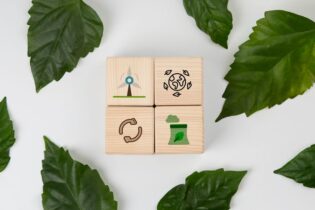 Z odpadu poklad: Startup GreenWool zaujal hnojivem z ovčí vlny