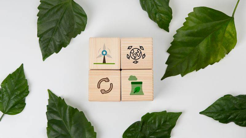 Z odpadu poklad: Startup GreenWool zaujal hnojivem z ovčí vlny