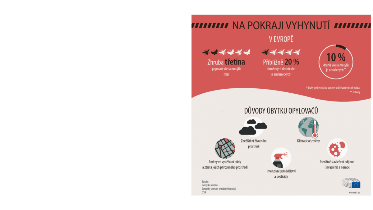 Biodiverzita_5 5/2025