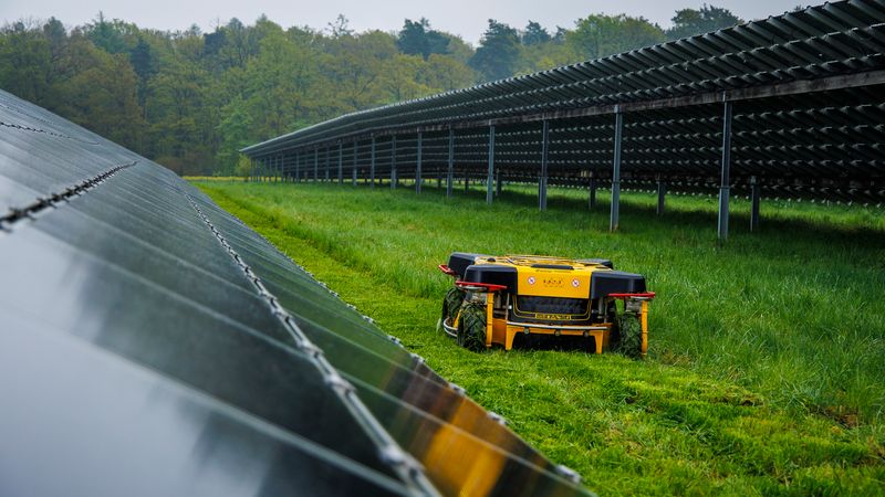 Zvítězí ovce, nebo skoro půltunoví roboti? Na trávnících kolem solárních parků probíhá nečekaná bitva Zvítězí ovce, nebo skoro půltunoví roboti? Na trávnících kolem solárních parků probíhá nečekaná bitva