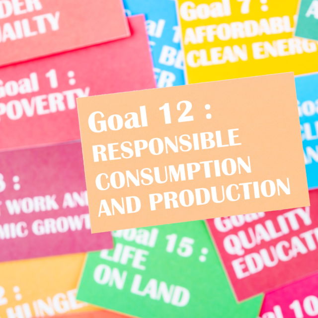 Česko se podle globálního hodnocení dostalo mezi TOP 10 zemí v naplňování SDGs, pokrok bude prezentovat v sídle OSN Česko se podle globálního hodnocení dostalo mezi TOP 10 zemí v naplňování SDGs, pokrok bude prezentovat v sídle OSN