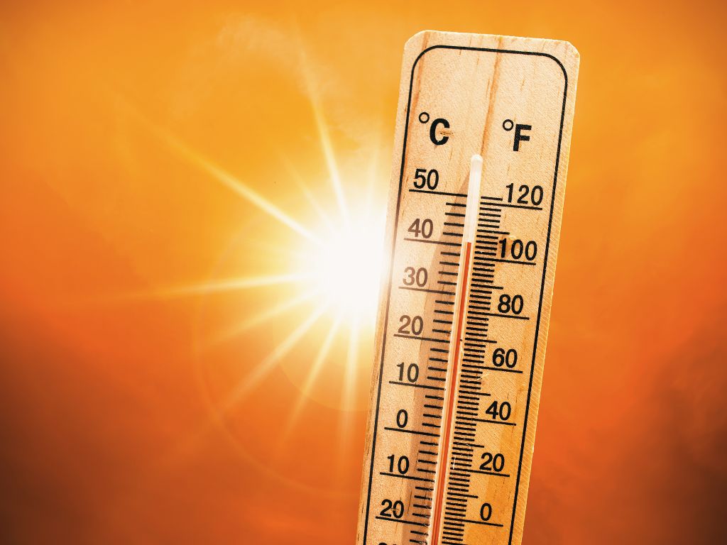Fakta o klimatu: 10 tipů na zvládnutí vlny veder Fakta o klimatu: 10 tipů na zvládnutí vlny veder