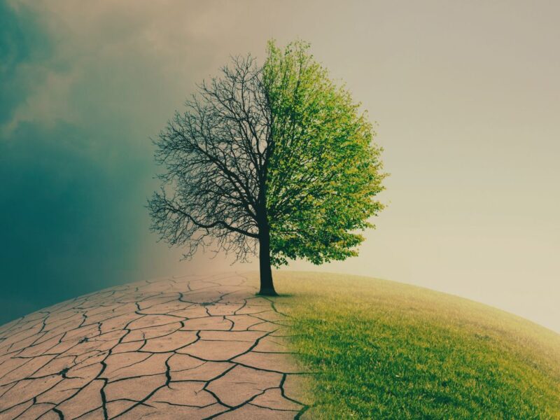 Pět let do bodu zlomu a svět se topí v dezinformacích o klimatu