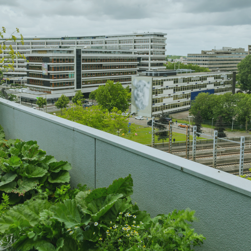 Stvebnictví_4_11/2025