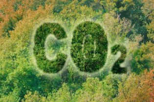 Zachytávání uhlíku I.: technologie pro udržitelnou budoucnost?! Zachytávání uhlíku I.: technologie pro udržitelnou budoucnost?!