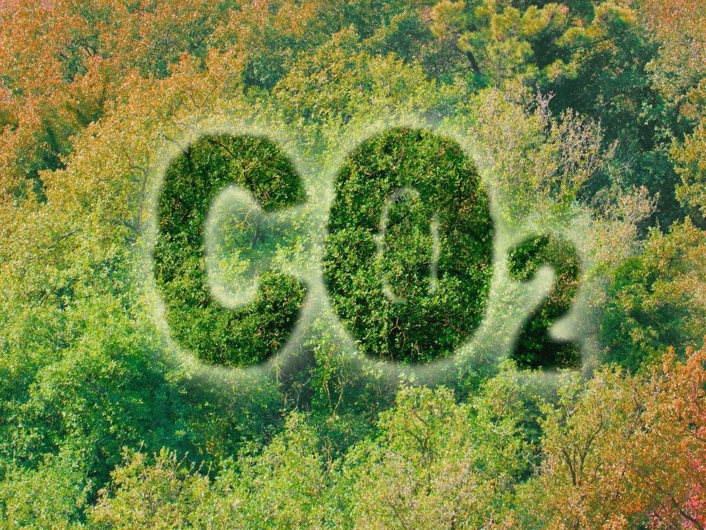 Zachytávání uhlíku I.: technologie pro udržitelnou budoucnost?!