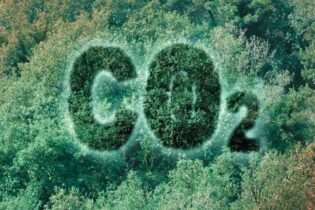 Zachytávání uhlíku II.: jak účinné opravdu je v praxi? Zachytávání uhlíku II.: jak účinné opravdu je v praxi?