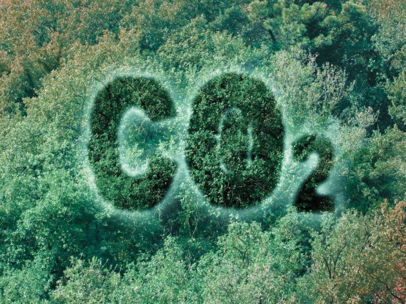 Zachytávání uhlíku II.: jak účinné opravdu je v praxi?