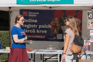Červená tlapka: když se firmy zapojí do záchrany psích životů Červená tlapka: když se firmy zapojí do záchrany psích životů