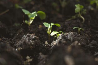Eroze ničí 60 procent půdy. Řešení přitom existuje a začíná v kuchyni