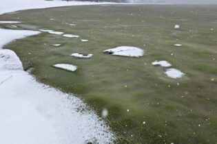 Smutný světový unikát. Led na Lipně je kvůli sinicím zelený Smutný světový unikát. Led na Lipně je kvůli sinicím zelený