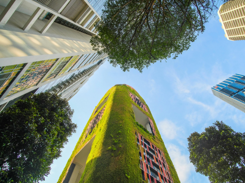 Kam bude směřovat udržitelnost v roce 2026?