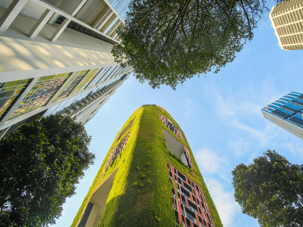 Kam bude směřovat udržitelnost v roce 2026? Kam bude směřovat udržitelnost v roce 2026?