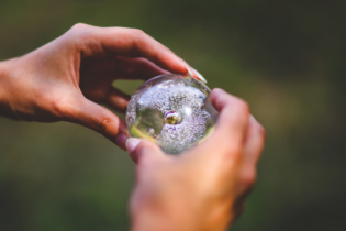 Co přinese rok 2026 v globálním měřítku? Další predikce z oblasti ESG Co přinese rok 2026 v globálním měřítku? Další predikce z oblasti ESG