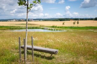 Adapterra Awards otevírá nominace. Ocení i zemědělské projekty posilující odolnost krajiny