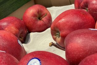 Jen oloupat nestačí. Pesticidy v jablkách zůstávají i po uvaření Jen oloupat nestačí. Pesticidy v jablkách zůstávají i po uvaření